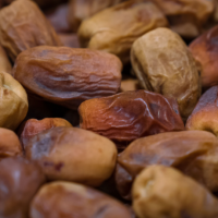 Almas Rashodia Dates